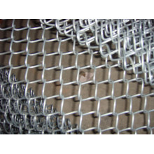 Hot-Dipped Galvanisierter Eisen Draht Mesh Chain Link Zaun (anjia-192)